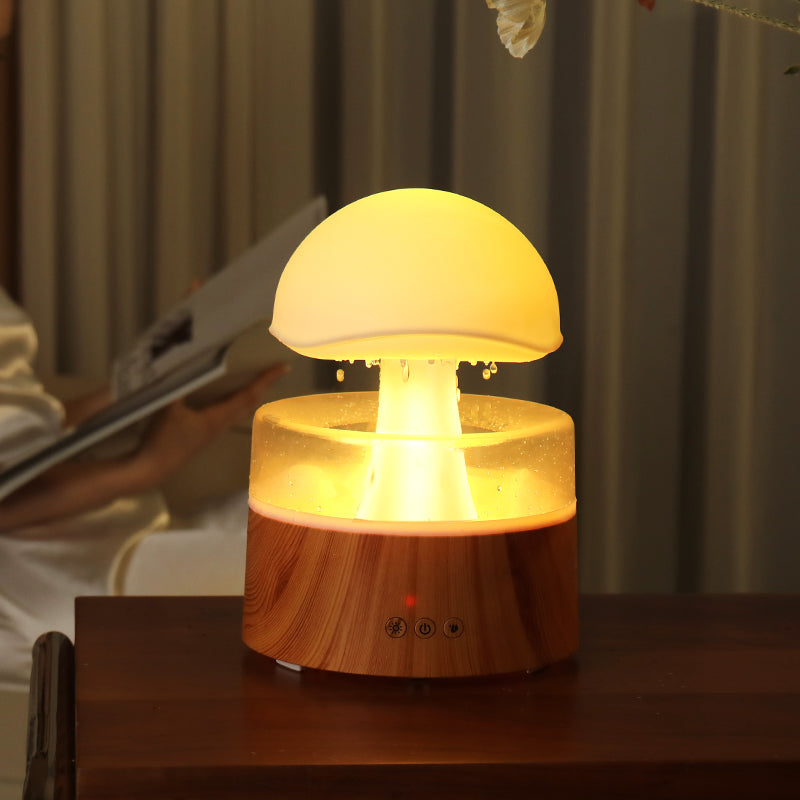 Rain Cloud Ultrasonic Aromatherapy Humidifier and Air Diffuser