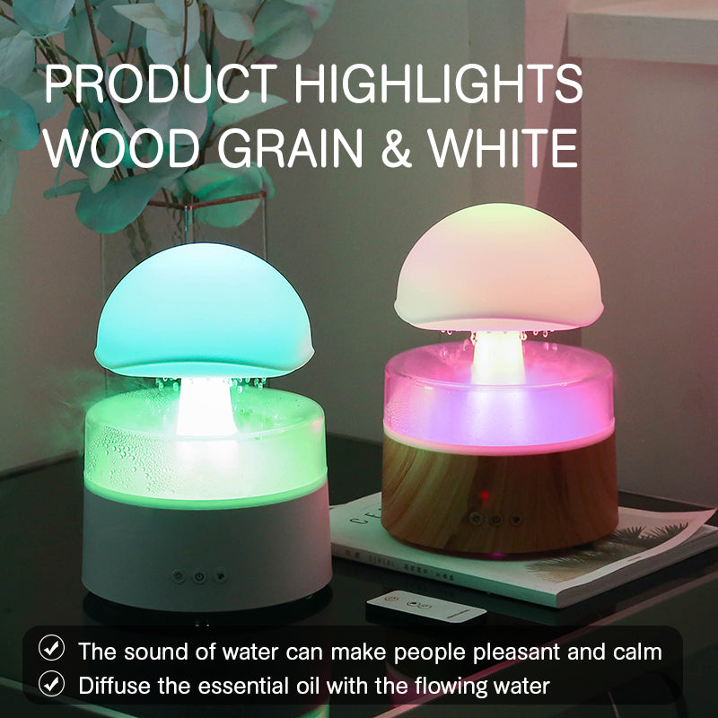 Rain Cloud Ultrasonic Aromatherapy Humidifier and Air Diffuser