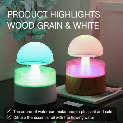 Rain Cloud Ultrasonic Aromatherapy Humidifier and Air Diffuser