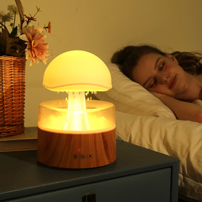 Rain Cloud Ultrasonic Aromatherapy Humidifier and Air Diffuser