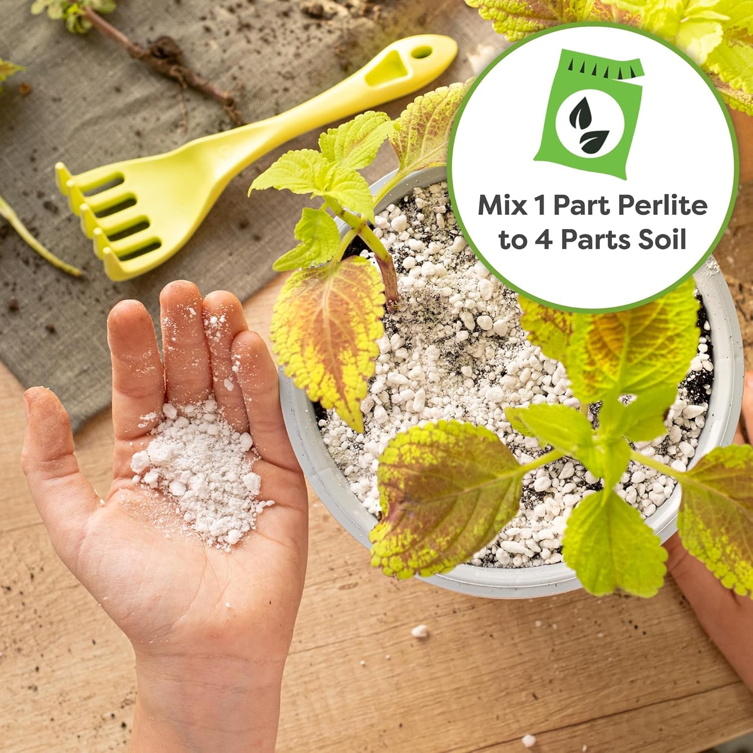 Organic Perlite - Enhances Soil Drainage and Promotes Growth for Indoor and Outdoor Container Plants (8 Quarts)