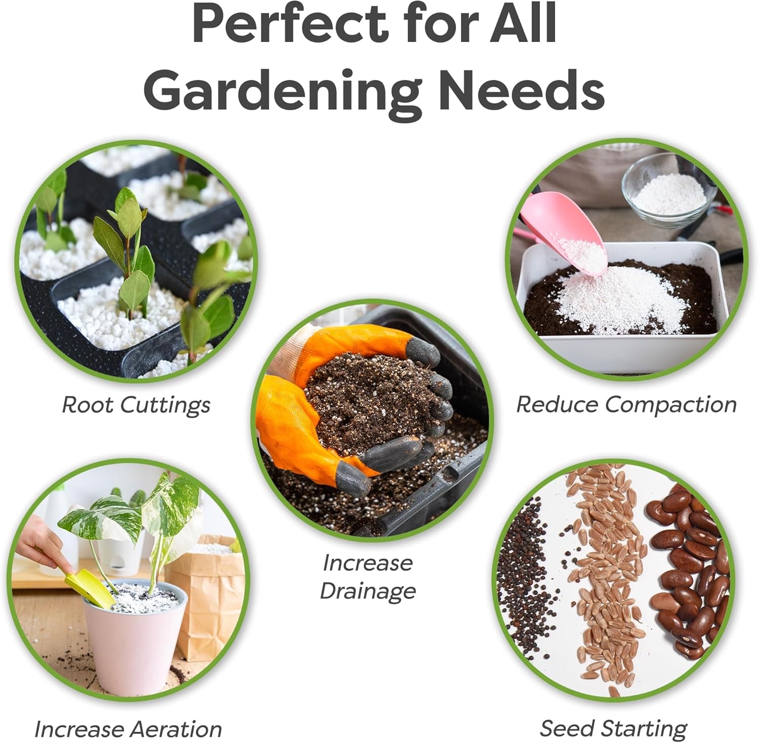 Organic Perlite - Enhances Soil Drainage and Promotes Growth for Indoor and Outdoor Container Plants (8 Quarts)