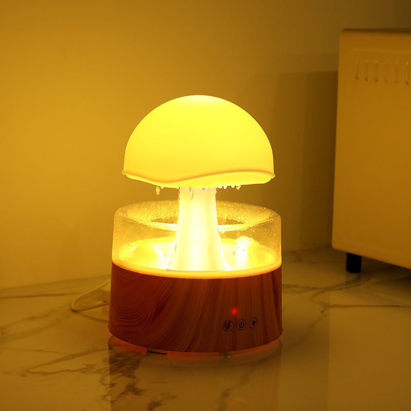 Rain Cloud Ultrasonic Aromatherapy Humidifier and Air Diffuser