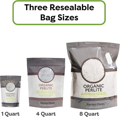 Organic Perlite - Enhances Soil Drainage and Promotes Growth for Indoor and Outdoor Container Plants (8 Quarts)