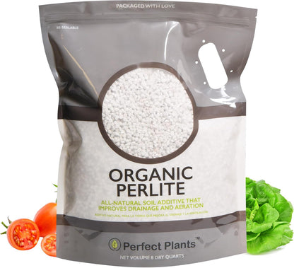 Organic Perlite - Enhances Soil Drainage and Promotes Growth for Indoor and Outdoor Container Plants (8 Quarts)