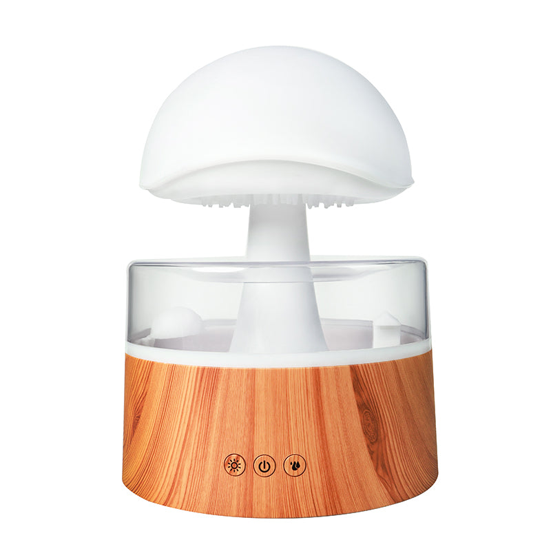 Rain Cloud Ultrasonic Aromatherapy Humidifier and Air Diffuser